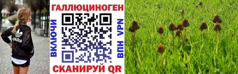Галлюциногенные грибы Cubensis  закладки  Зея 